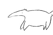 Anteater sketch
