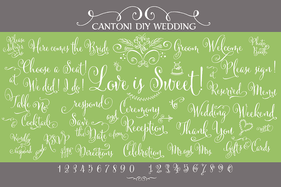 Cantoni DIY Wedding Font in Script Fonts - product preview 8
