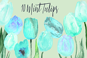 10 Watercolor Mint Tulips Clip Art
