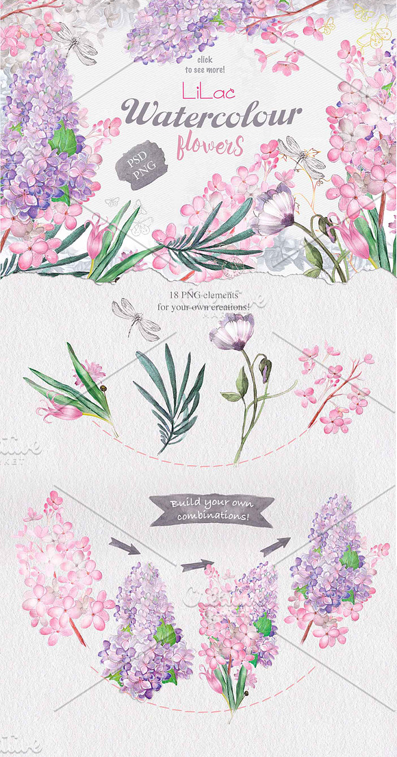 BEST SPRING FLOWERS in Illustrations - product preview 2