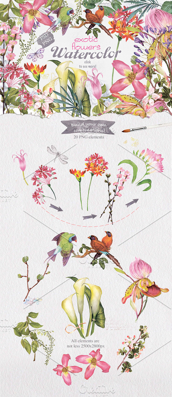 BEST SPRING FLOWERS in Illustrations - product preview 10