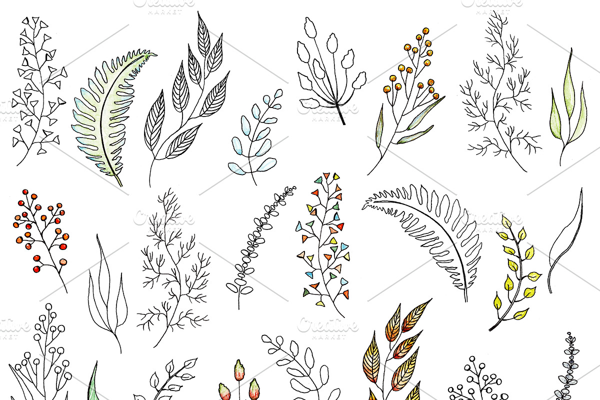 Foliage in watercolor and ink in Illustrations - product preview 8