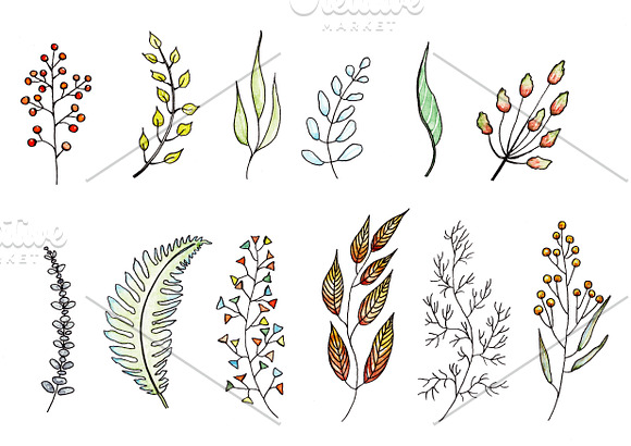 Foliage in watercolor and ink in Illustrations - product preview 2