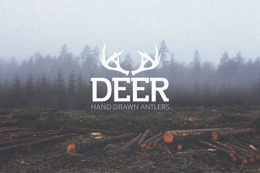 Deer Antlers - 12 Hand Drawn Vectors in Illustrations - product preview 8