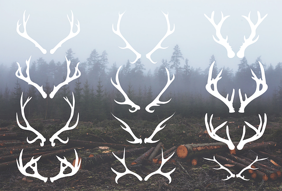 Deer Antlers - 12 Hand Drawn Vectors in Illustrations - product preview 1