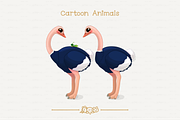 vector African ostriches