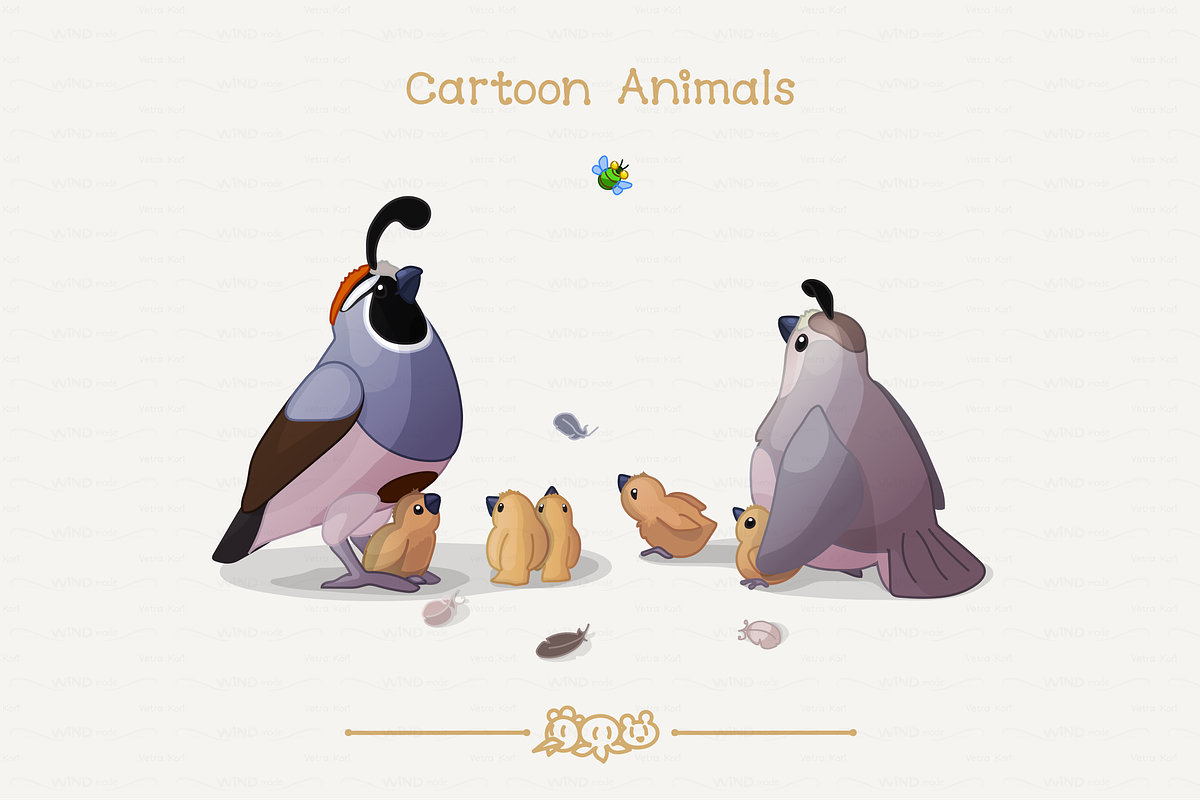 vector Family of California Quails in Illustrations - product preview 8