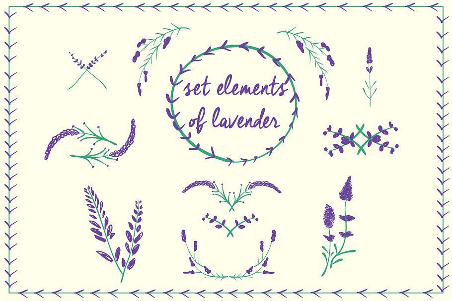 Set elements of lavender branches