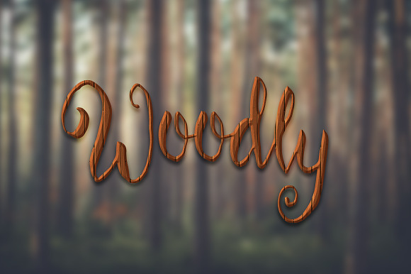 Wood Styles Bundle for Photoshop in Photoshop Layer Styles - product preview 1