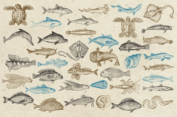 Antique Sea Creatures & Monsters in Objects - product preview 1