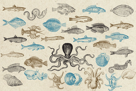 Antique Sea Creatures & Monsters in Objects - product preview 2