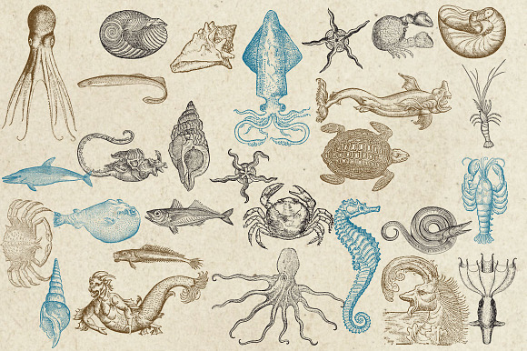 Antique Sea Creatures & Monsters in Objects - product preview 3