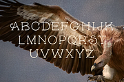 Skybird Font