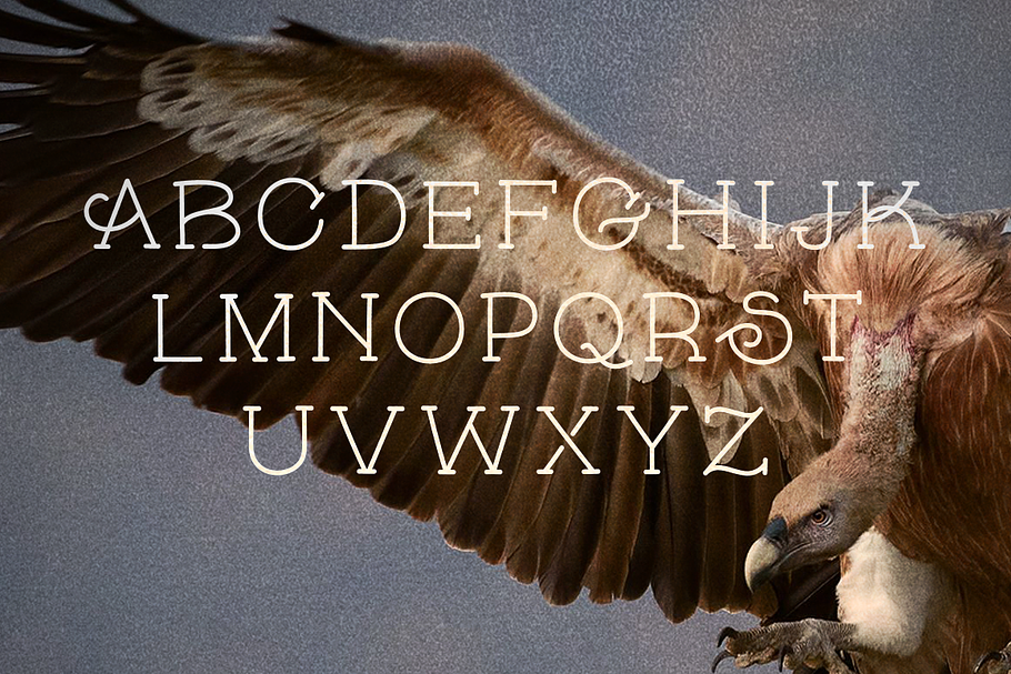 Skybird Font in Serif Fonts - product preview 8