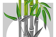 Poster with bamboo plants.