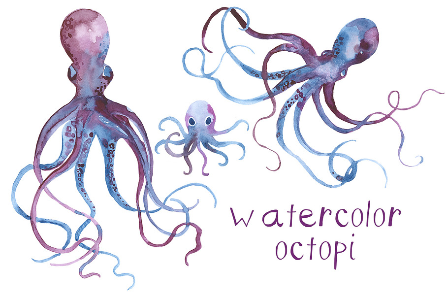 Watercolor Octopi in Illustrations - product preview 8