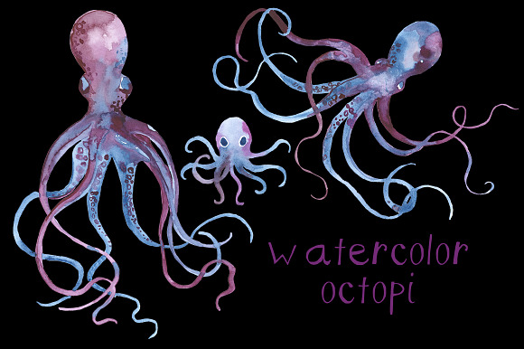 Watercolor Octopi in Illustrations - product preview 1