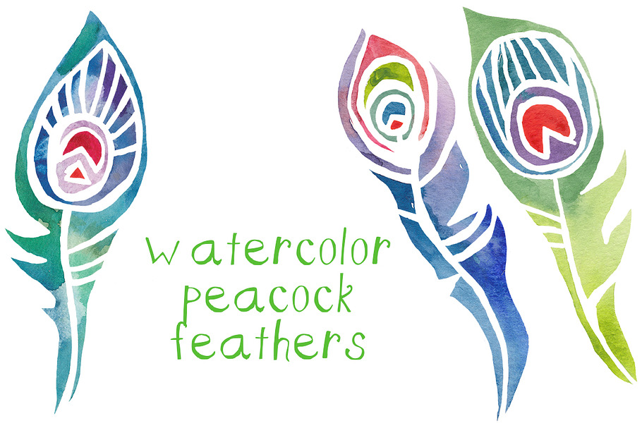 Watercolor Peacock Feathers