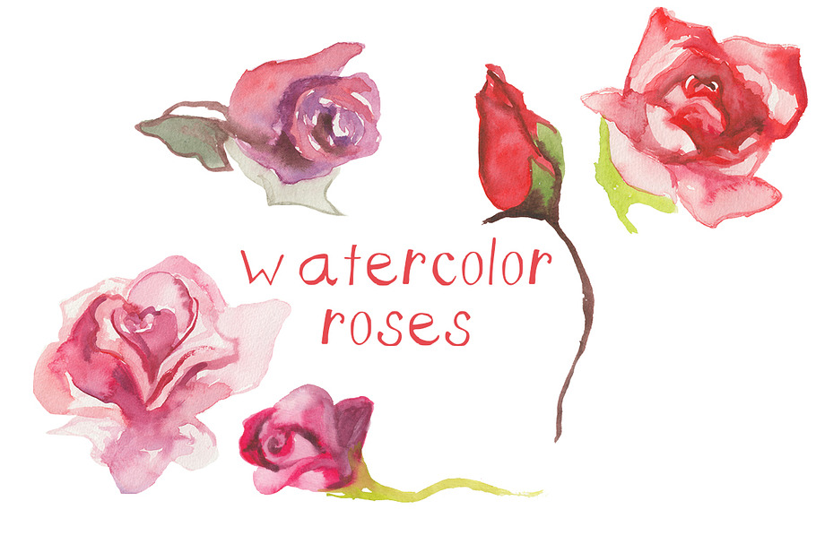 Watercolor Roses in Illustrations - product preview 8