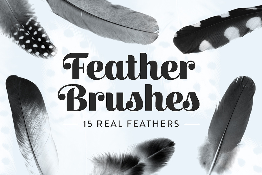 Feather Photoshop brushes in Photoshop Brushes - product preview 8