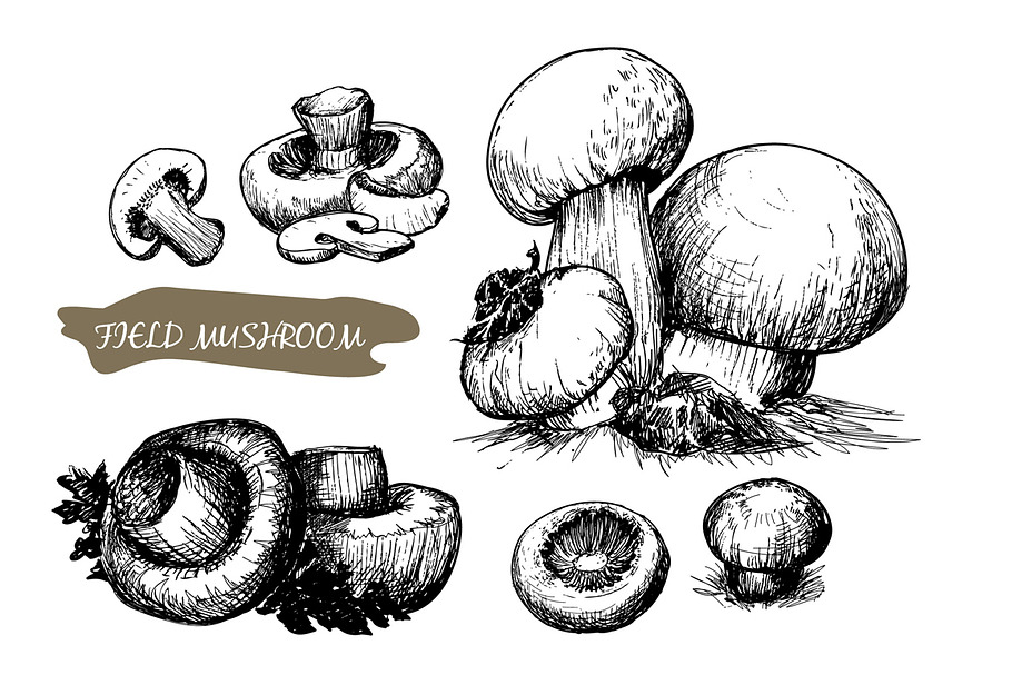 Set of mushrooms in Illustrations - product preview 8