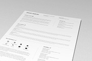The Professional CV (PSD + WORD DOC)