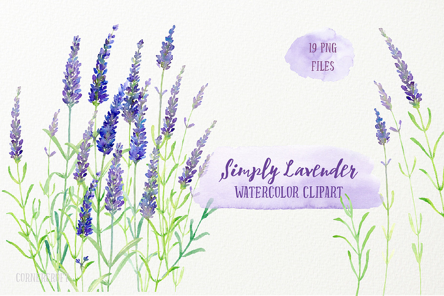 Watercolor Clip Art Simply Lavender in Illustrations - product preview 8