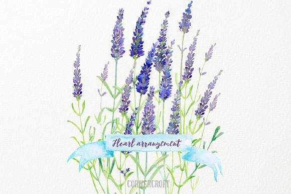 Watercolor Clip Art Simply Lavender in Illustrations - product preview 2