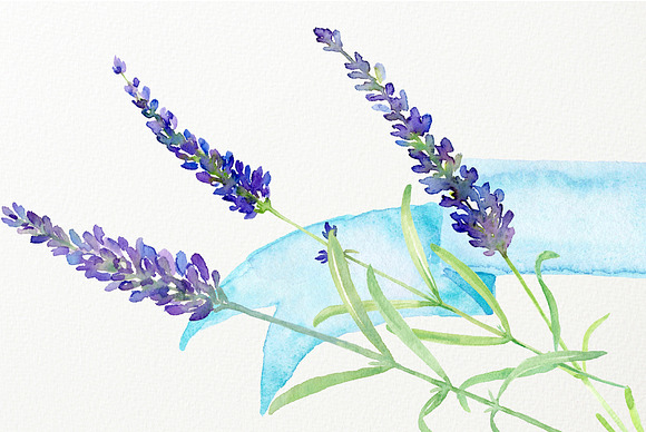 Watercolor Clip Art Simply Lavender in Illustrations - product preview 3