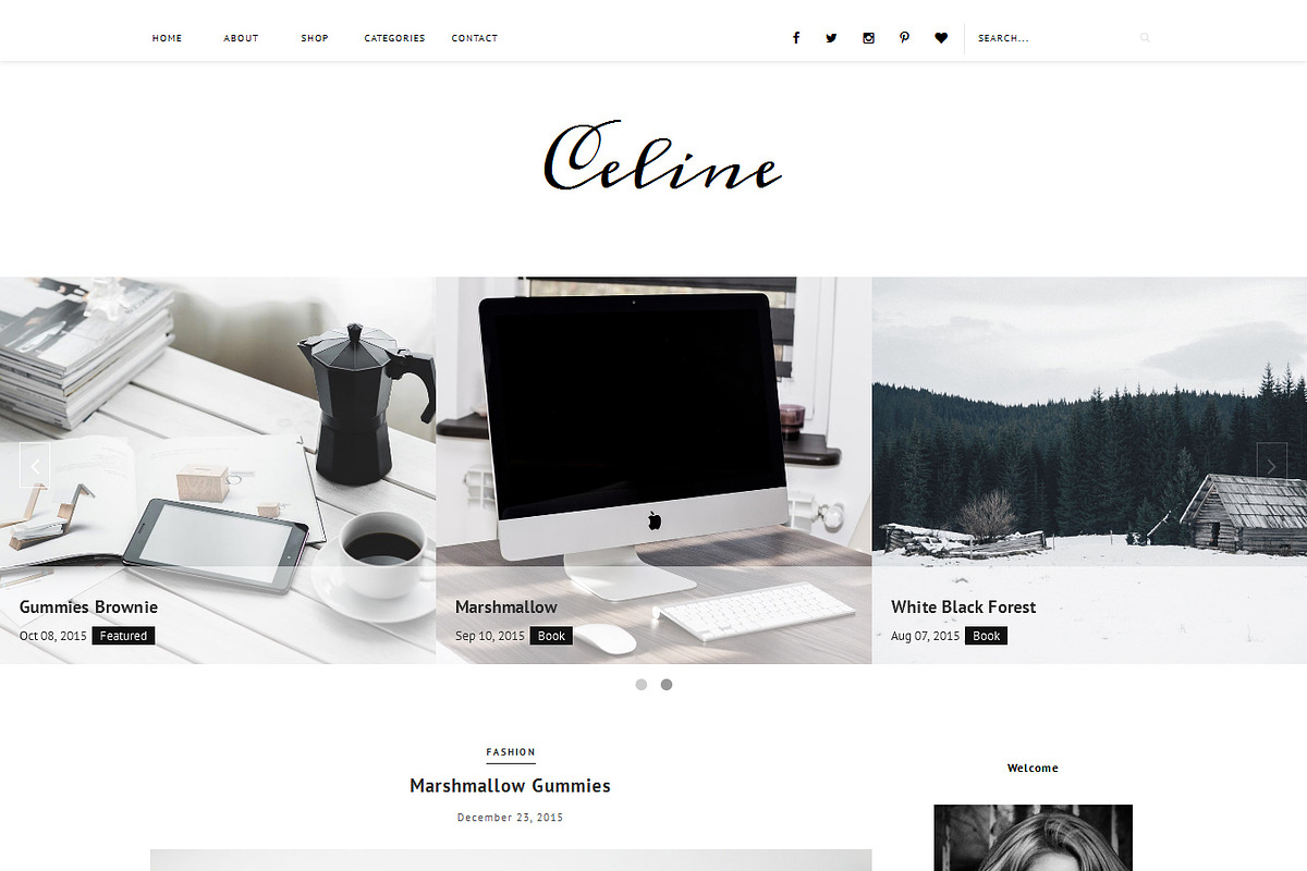 Blogger Template Responsive - Celine in Website Templates - product preview 8