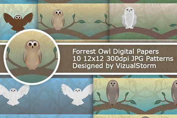 Woodland Owl Digital Paper Patterns in Patterns - product preview 2