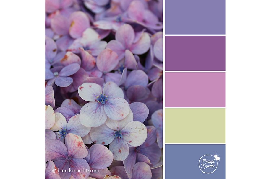 Purple Petals Color Palette