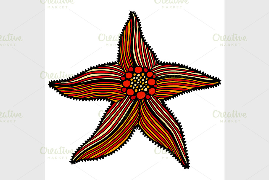 sketch illustration of starfish