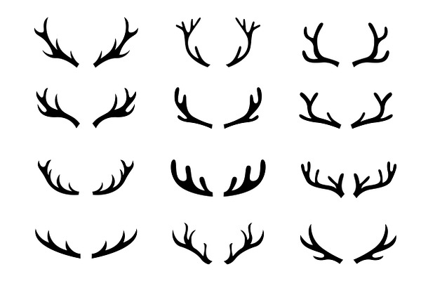 Deer head set, Antlers 