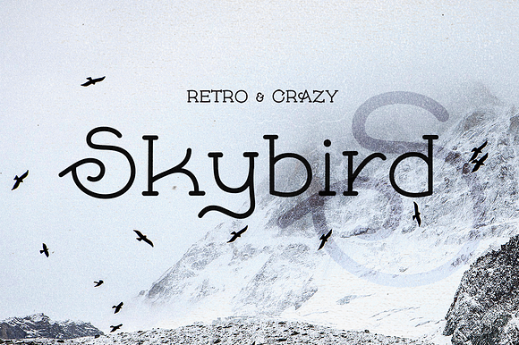 Skybird Font in Serif Fonts - product preview 7