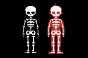 Skeletons Human Bones Set