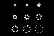 Explode Animation Sequence