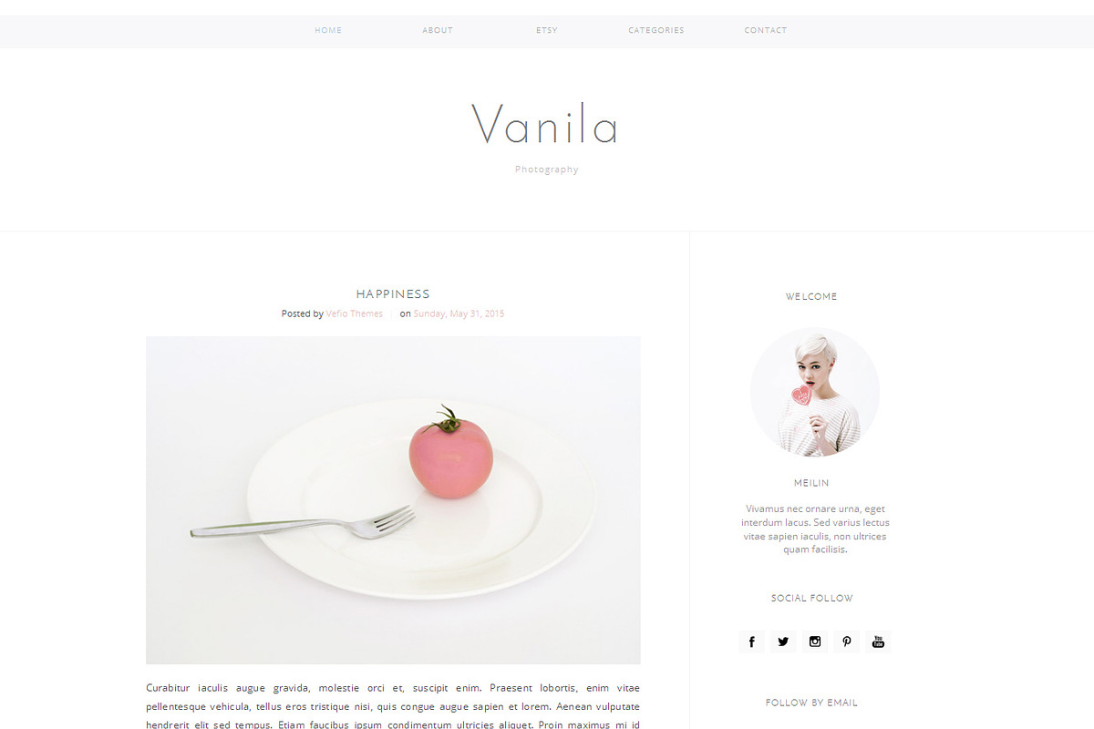 Responsive Blogger Template - Vanila in Website Templates - product preview 8