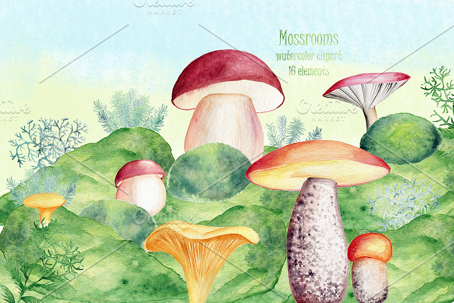 Watercolor moss and mushrooms