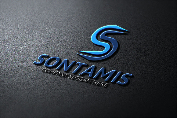  S Letter Logo in Logo Templates - product preview 1