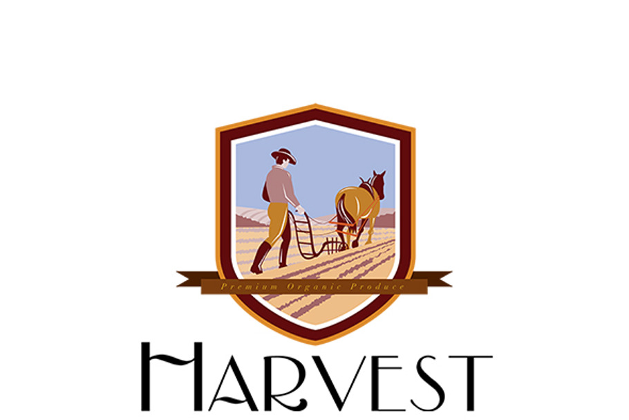 Harvest Organic Farm Produce Logo in Logo Templates - product preview 8
