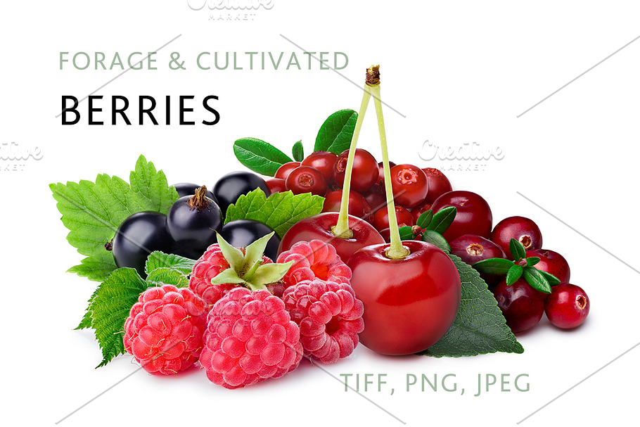 Berries, 5 images