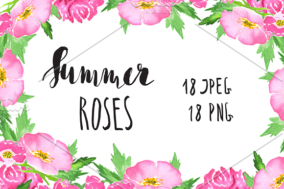 Pink roses watercolor clip art in Illustrations - product preview 2