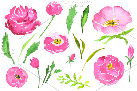 Pink roses watercolor clip art in Illustrations - product preview 3