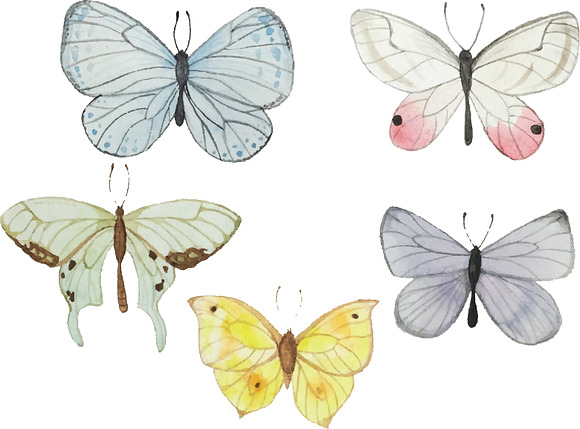Watercolor Butterflies in Illustrations - product preview 1