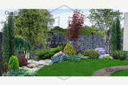 Backyard horticultural background