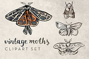 Vintage Moths Clipart Set