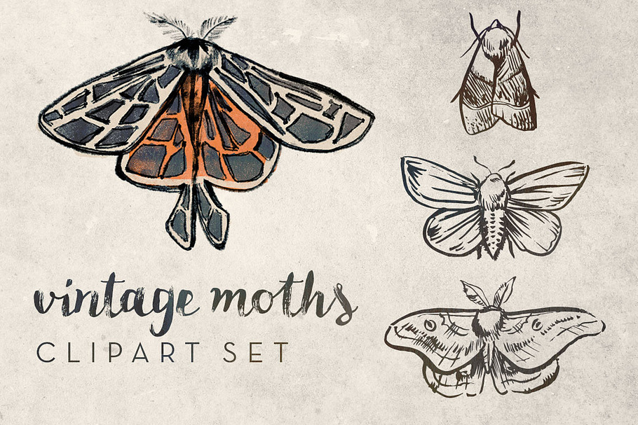 Vintage Moths Clipart Set in Illustrations - product preview 8