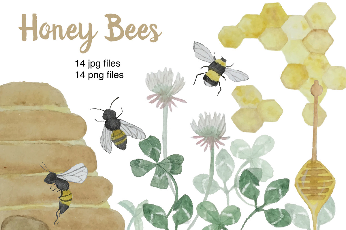 Watercolor Honey Bees in Illustrations - product preview 8