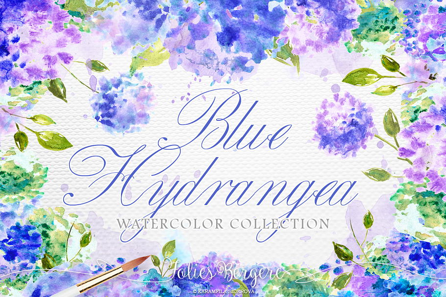 Blue Hydrangea in Illustrations - product preview 8
